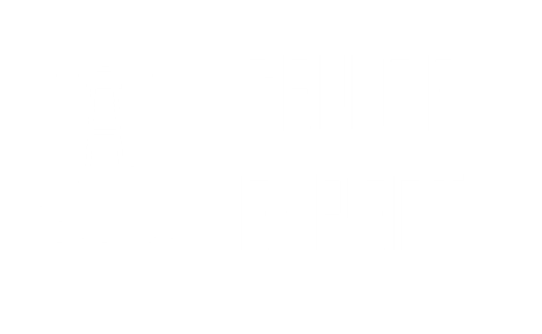 Senior.expert logo
